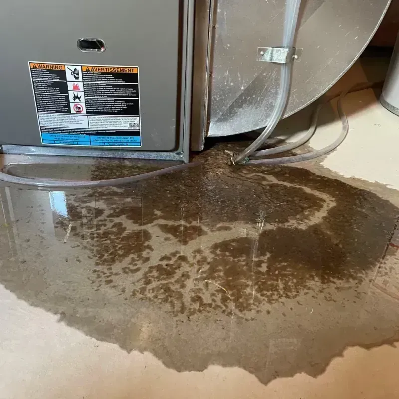 Appliance Leak Cleanup in Moody, TX